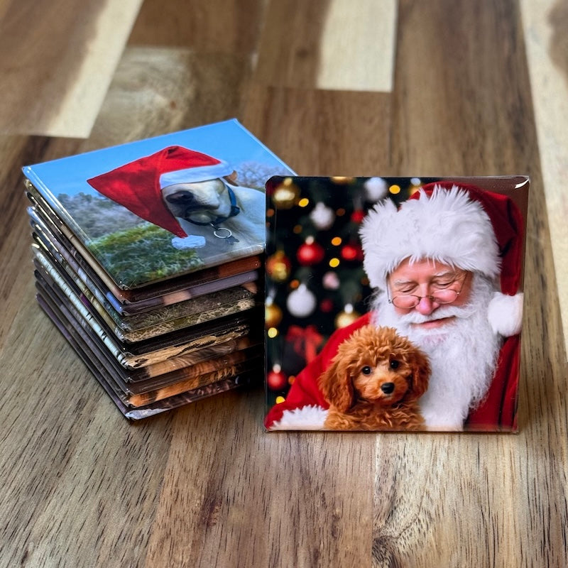 12 Photo Magnet Special