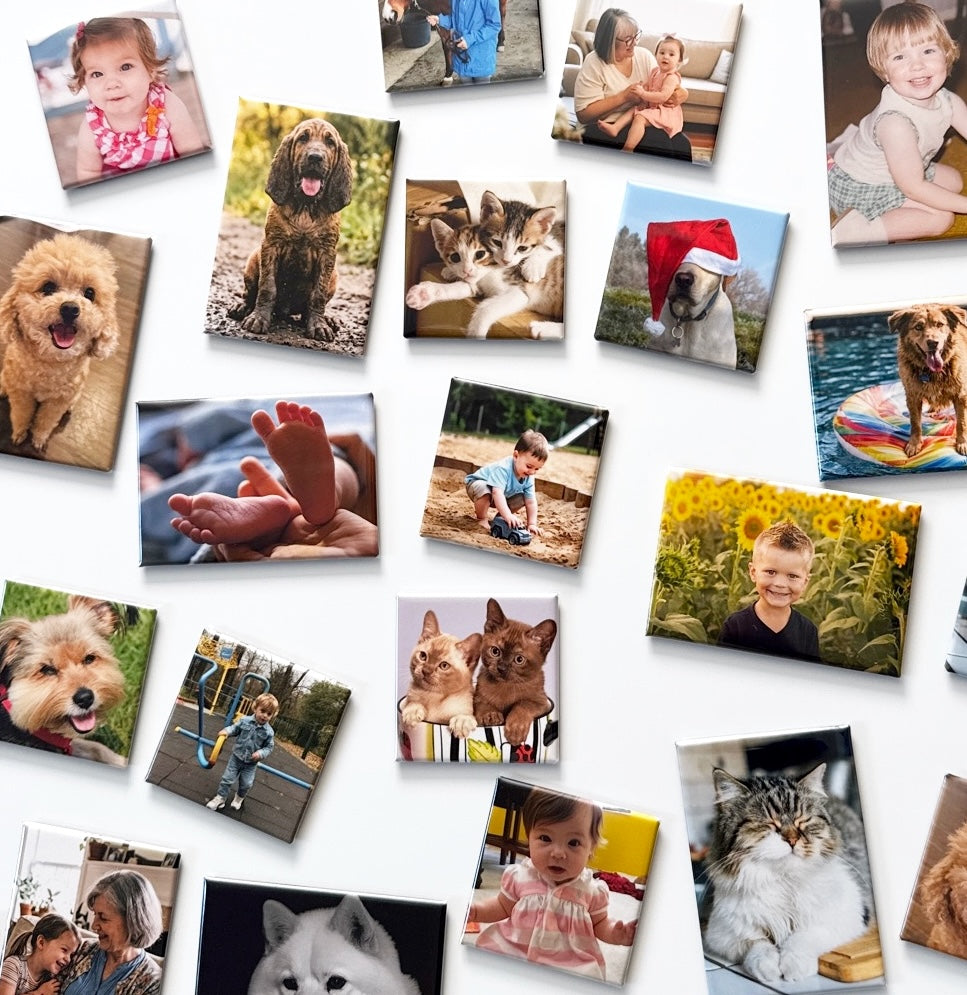 A white refrigerator door covered in custom photo magnets in 2×2 inch square and 2×3 inch rectangle sizes, showing dogs, cats, children, families, and vacation photos