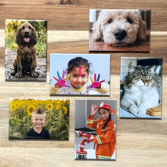 Six 2×3 inch rectangle photo magnets arranged on a wood table, showing pet and child portraits