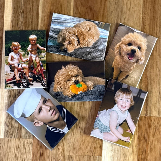 Six 2×3 inch rectangle photo magnets arranged on a wood table, showing pet portraits and vintage family photos including a young sailor