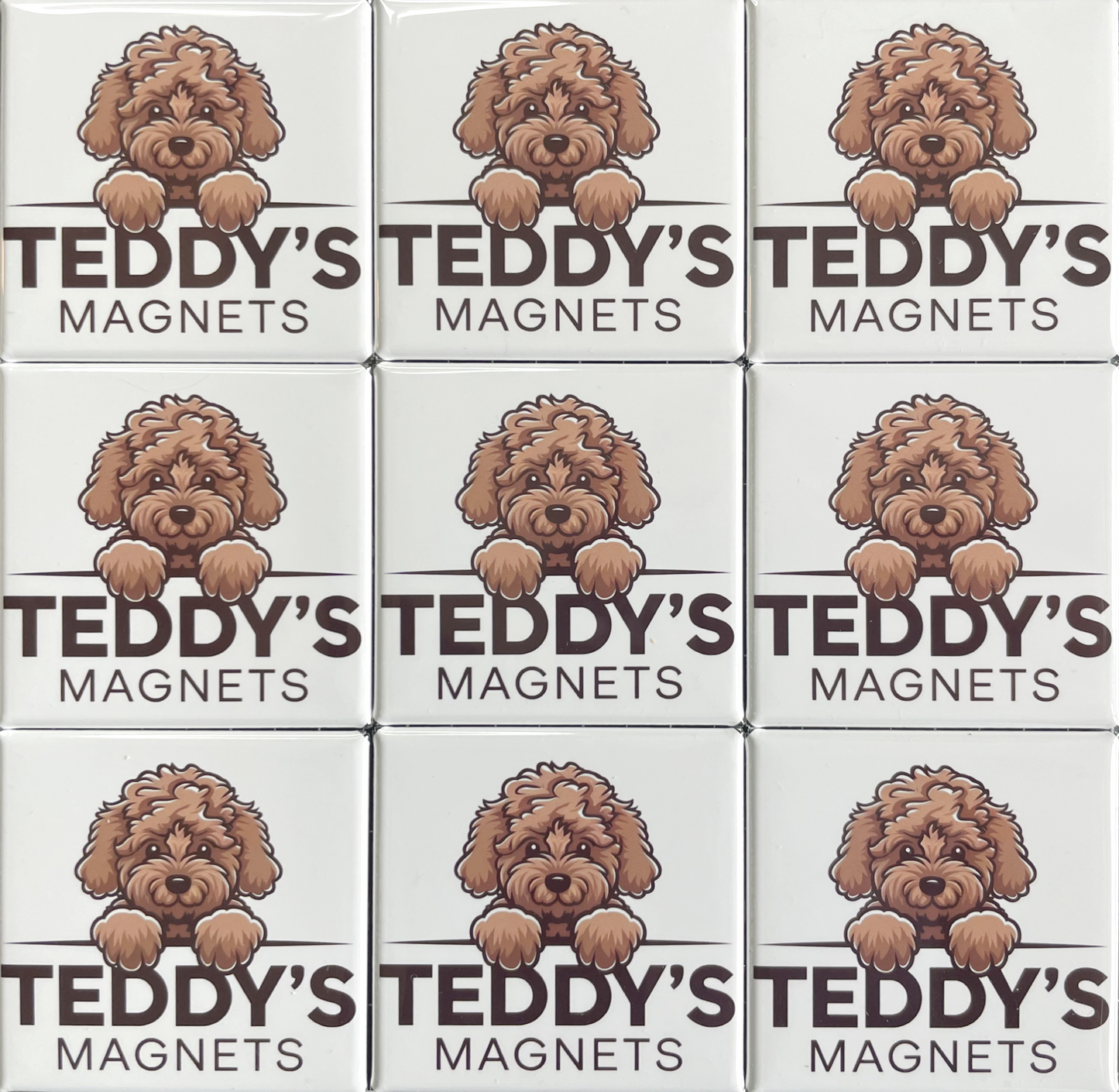 20 Magnet Set