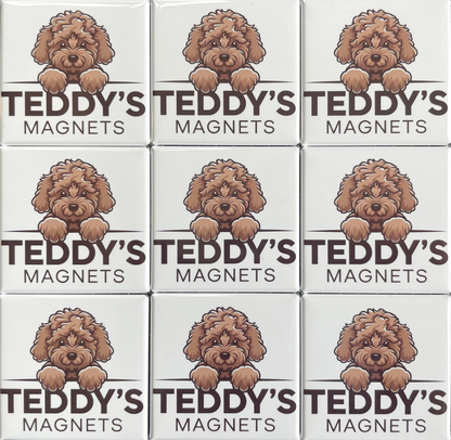 20 Magnet Set