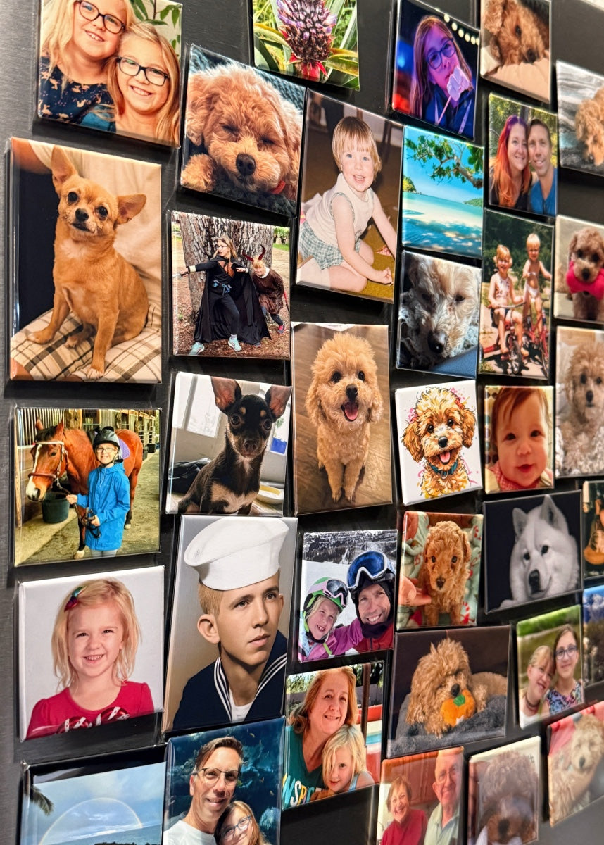 A refrigerator door covered in custom photo magnets in 2×2 inch square and 2×3 inch rectangle sizes, showing dogs, children, families, and vacation photos