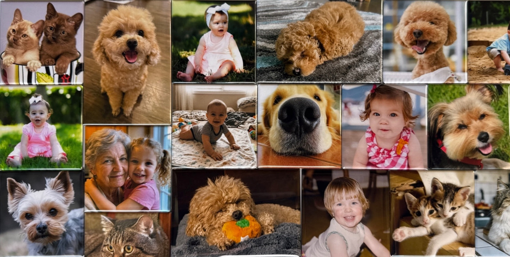 Collage of custom photo magnets in 2×2″ square and 2×3″ rectangle sizes, featuring dogs, cats, babies, and family photos