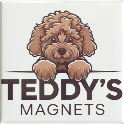 20 Magnet Set
