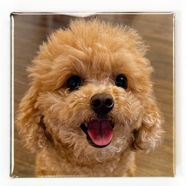Single square photo magnet with a cute dog smiling